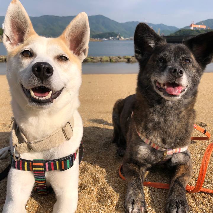 7b8b4309 30b1 4061 8c83 d7837bfb6509 1590145132518