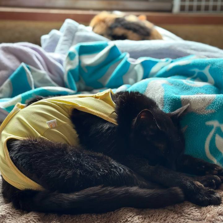 7b8b54e5 a55f 452c bd12 632737706988 1714702086363