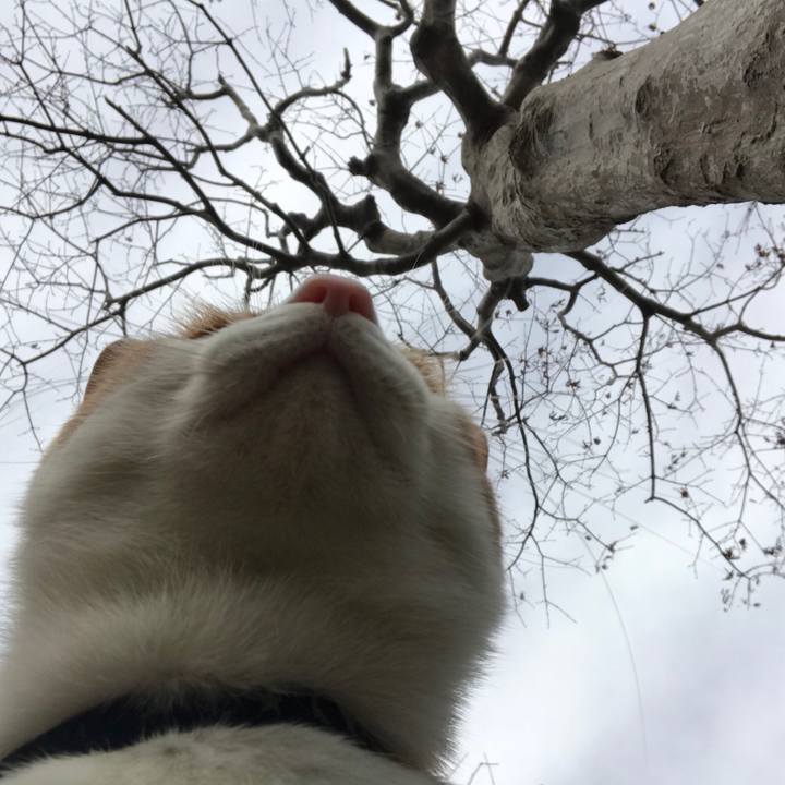 7b8b5f90 0535 4e88 ab2b 57aebd0bd2ca 1511147586165