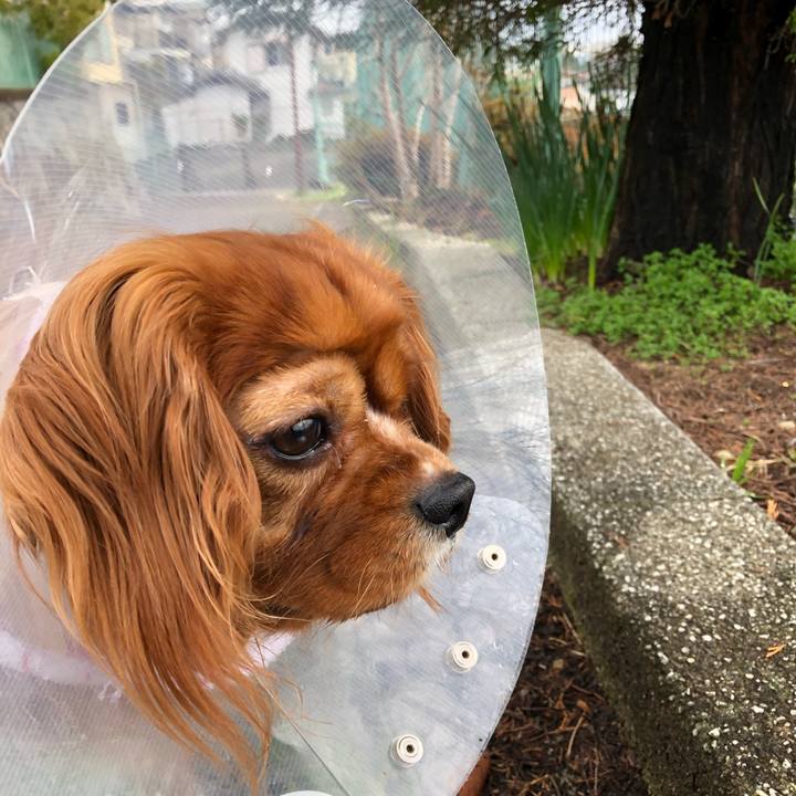 7b8ba15a 00d1 426e 9c36 c4c0e2ebd597 1583247833608