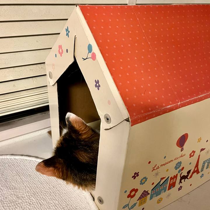 7b8bb698 a5b6 40a5 923c ead3f00df0fc 1692186092911