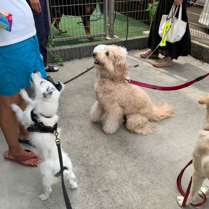 7b8bc14b 5596 4870 ab46 e559e22df33f 1718840215992