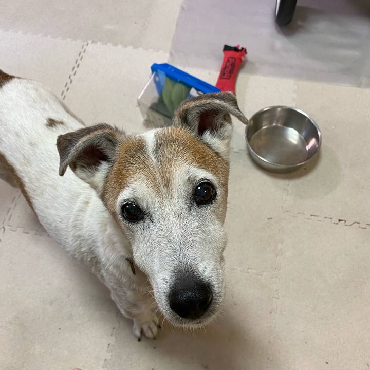 7b8bcb03 7a43 431c be96 ad279cbff708 1627251294386