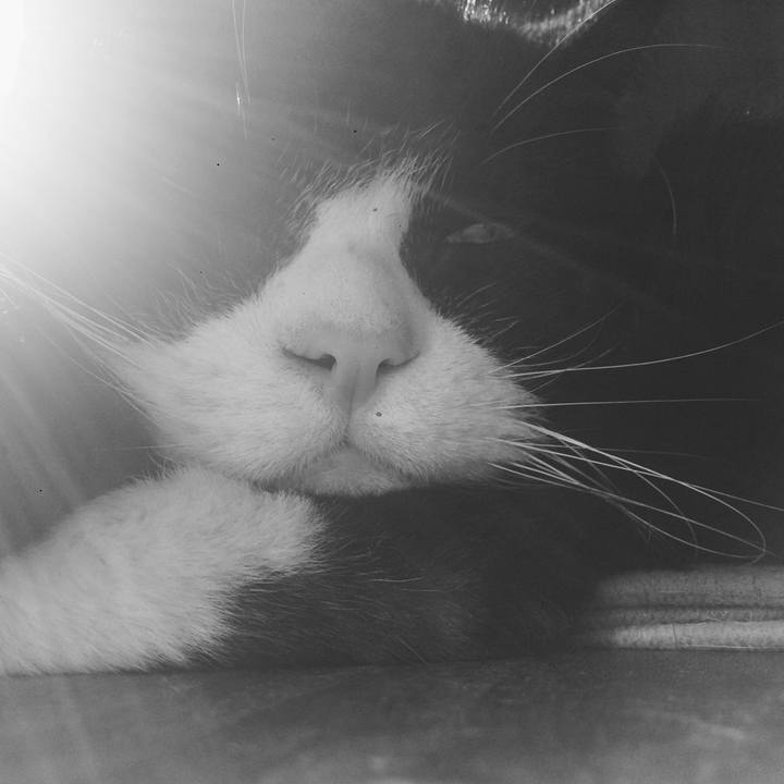 7b8be2c4 5dcd 4aa5 9e9b 6a48303dd20a 1582417078210