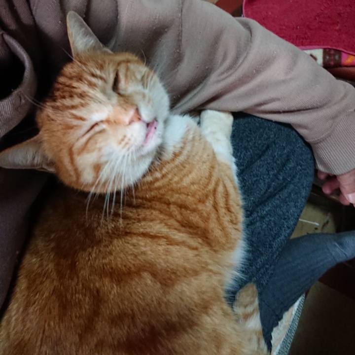 7b8c0749 9e1f 4c74 a7db 15b9a89dc17f 1581383748377