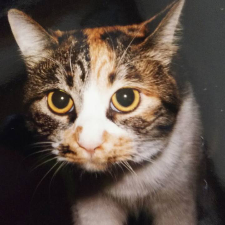 7b8c3424 01fe 486b 989f c106e1d05628 1547636970256