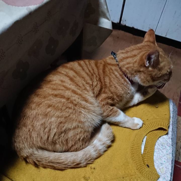 7b8c5c05 4c4f 4cca ae49 cfeeb9aadd07 1570827673160