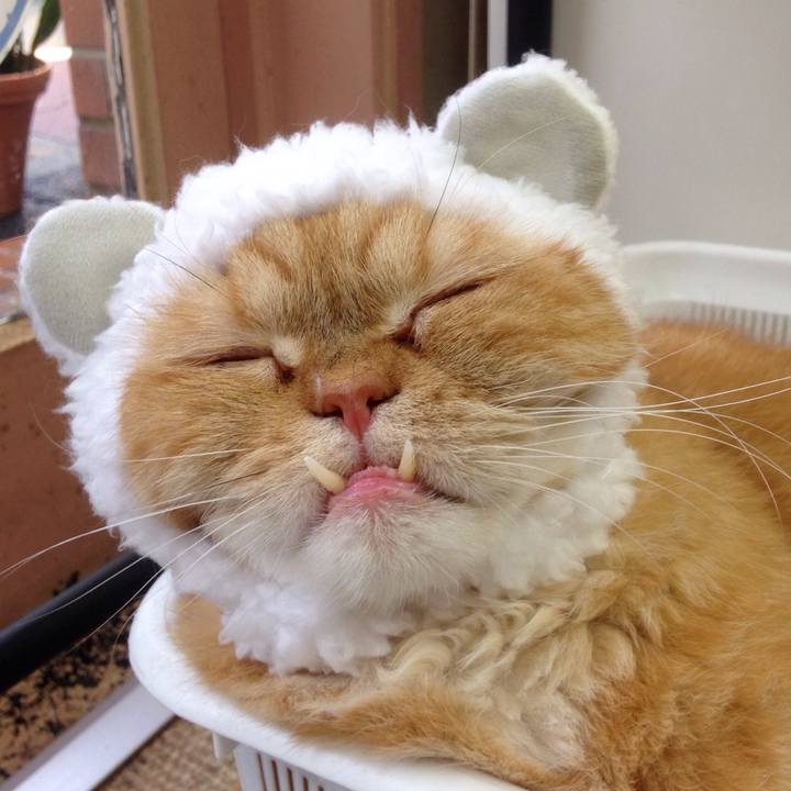 7b8c6e7b fd94 40dc b01b b4575f300c08 1530922729600