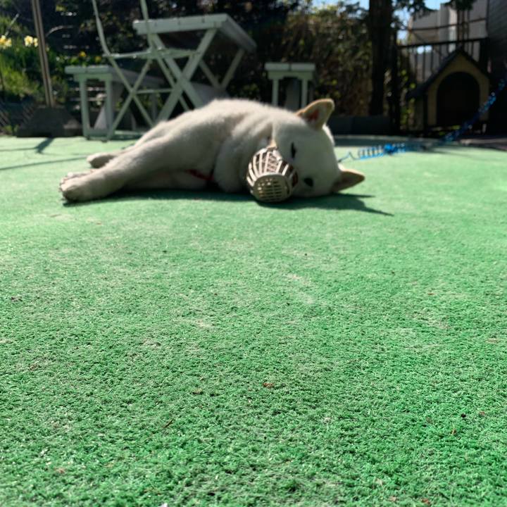 7b8c73f5 05a7 4e51 8d27 c910f8686aef 1556867144685