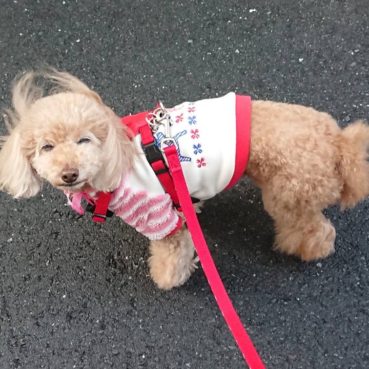 7b8c9db2 4092 46bf aa12 ce4799cdfe1c 1586077765410