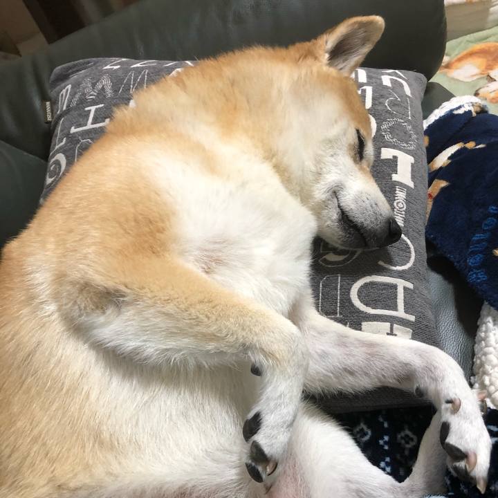 7b8cb436 249c 4240 b19c 120b11773eea 1607169895789