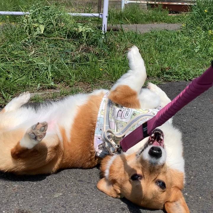 7b8d169b e994 4b7e 9497 4d3143bc5826 1650850513709