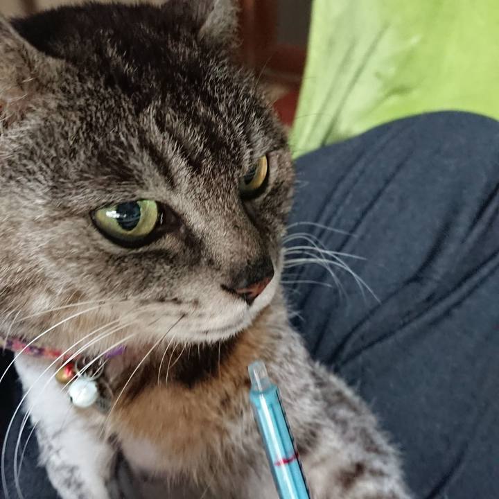 7b8d25ba e934 4f72 867a f9799b938322 1589493487961