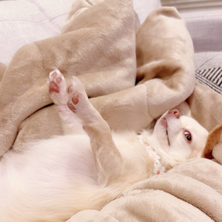 7b8d2e51 af4e 4d09 b5f3 e390790c40fd 1699357869547