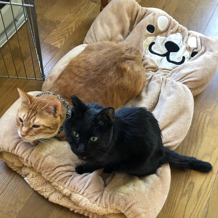 7b8d3068 e81c 4aec a851 938a25d9dd69 1557644926713