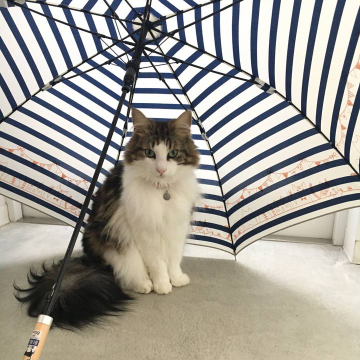 7b8d3833 8006 4930 aad7 27cfa44bebfd 1533634111825