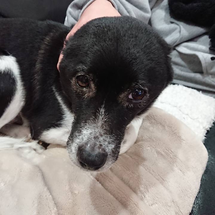 7b8d44eb ace2 42dc bc73 ad49d85ebebd 1648673892385