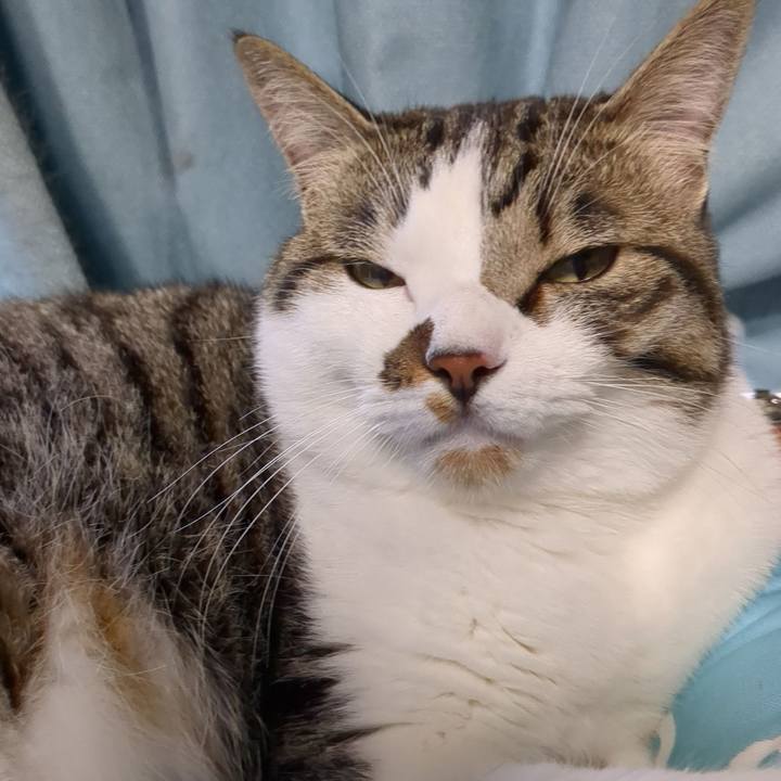 7b8d56ea 222b 4f82 8d9f 657a57f252e7 1686613998937