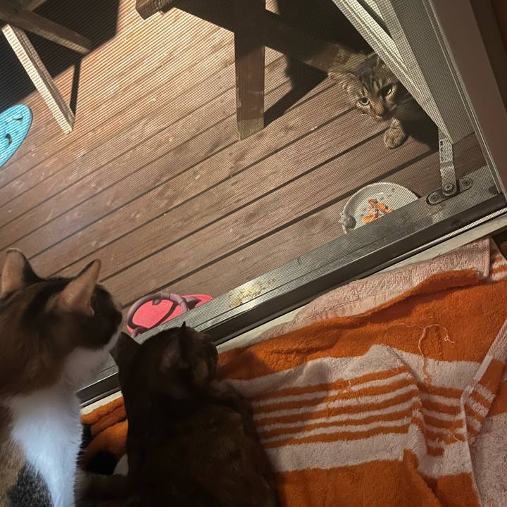 7b8d9c0b b5ac 423f ba96 3d65cedadfdb 1661167240156