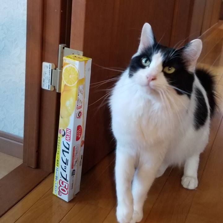 7b8daa83 9c83 4c40 a387 1a776f50c234 1585004699974