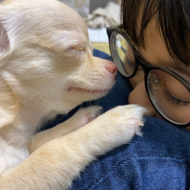 7b8dcbc6 c6a4 40fd 80d8 baa883449b8b 1594384399006