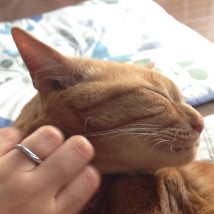 7b8dceab da08 4e2d 8b69 45c629488e7d 1602230258690