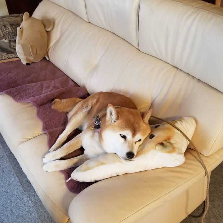 7b8de268 c88a 41bc 9273 d3f42cdd20c3 1618008325876