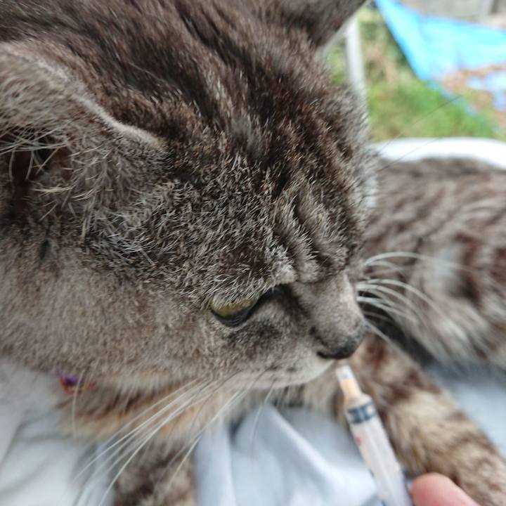 7b8df5cd b1ac 449e a725 bf430a6ab181 1594935449026