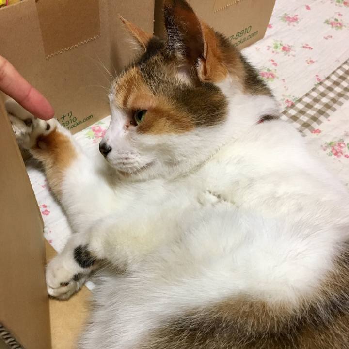 7b8e2d96 53a4 4967 a77b 6b7fc914a840 1521976613032