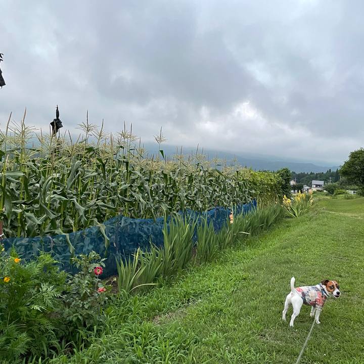 7b8e315b 8da3 4976 8b52 5ddd9826b94c 1628083176890