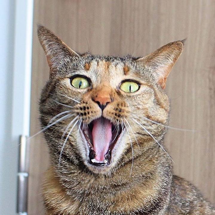 7b8e5277 7026 426e a303 973e21d2cec4 1591308807737