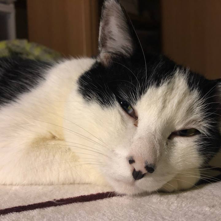 7b8e8f8b 8498 4717 b20c c217170a2dc2 1547628759998