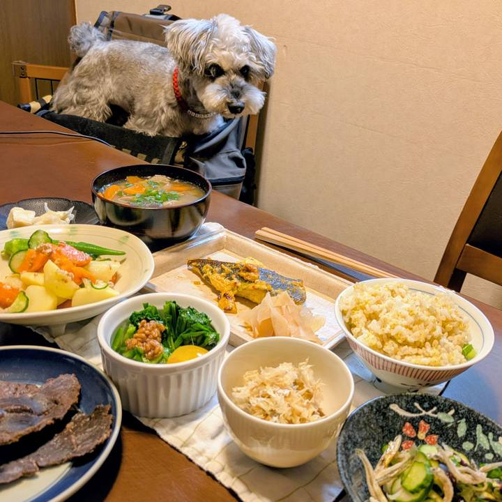 7b8e9264 b8df 4765 befa 7bff4392ec48 1757680877799