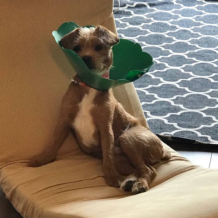 7b8eb435 a456 480e 9dae c07ca0f06df3 1526507580019