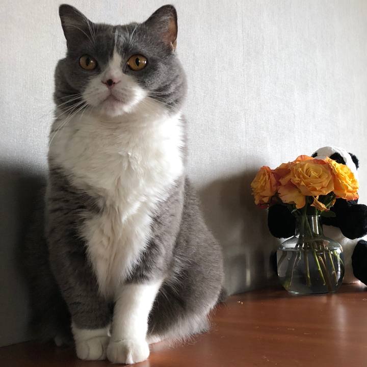 7b8eea1a a3c0 4b18 b7a8 6984fec9d6e4 1524557674626