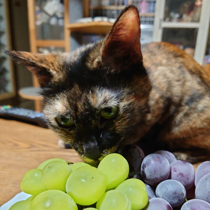 7b8f1e64 89c2 4beb a226 38aed89080d0 1692748275618