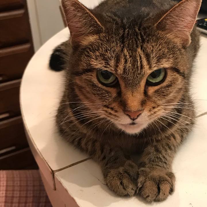 7b8f4d67 b355 4581 8f28 e5c4a931c6c1 1564582740045