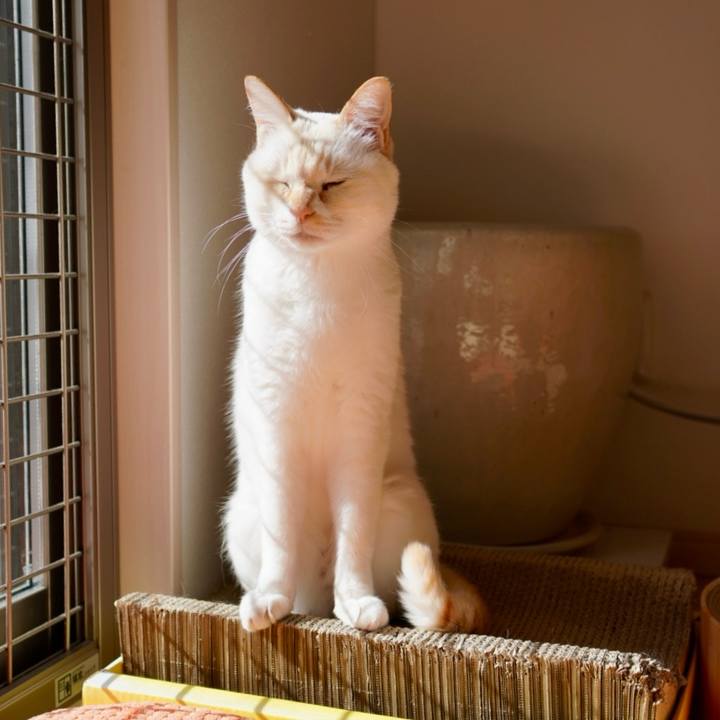 7b8f5f01 cd06 40b8 84e7 0c9f95b87827 1763180846190