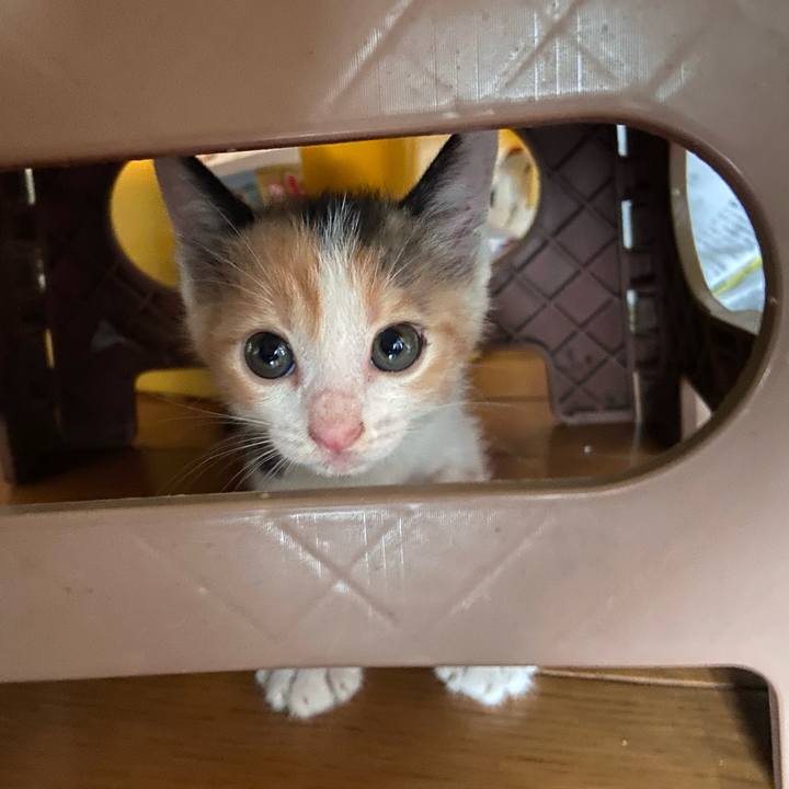 7b8f7192 1c02 4695 84e1 1ea50747da30 1628501832861