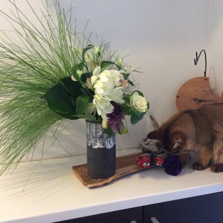 7b8f818c e0e6 4795 8742 7d61d02d7fd5 1577840367836