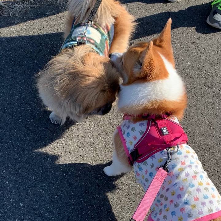 7b8f96f4 6c1a 4151 845e e3d98665b010 1673065491915