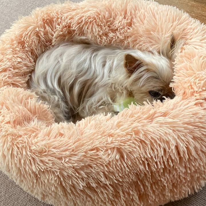 7b901405 bf26 44b5 a87d 47995ca5a4d5 1617582199453