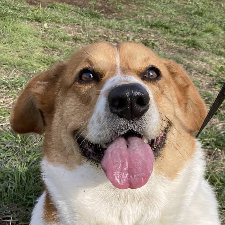 7b9015a3 1bdd 488d b6a2 23156d4b6208 1710207935788