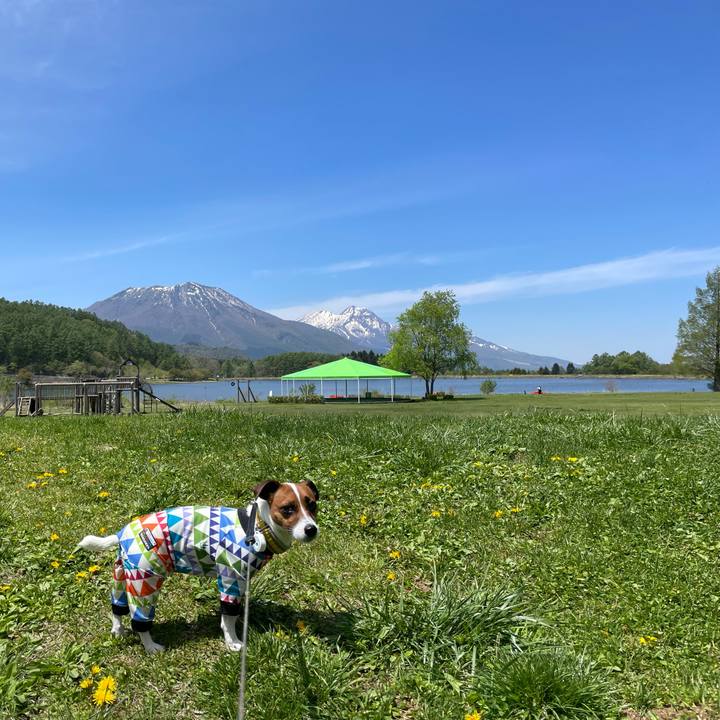 7b90497f 5260 4f85 b3ef 70dbae99ca3c 1652157768854