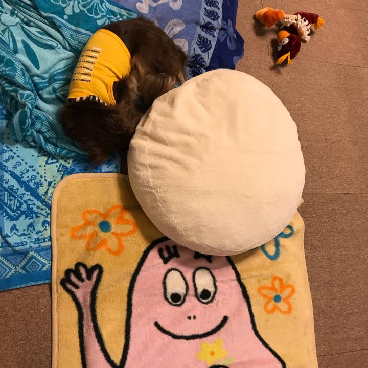 7b905f0b ae46 4c31 9b63 76953bc990dc 1594215182592