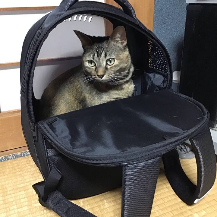 7b906436 0fdb 40b7 bedb efb85a5d19b1 1701252490539