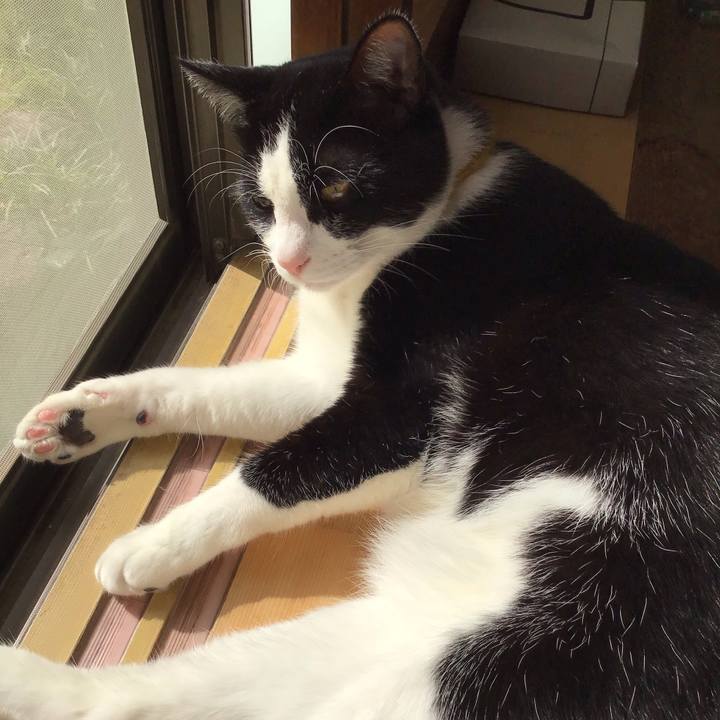 7b90749e 7d86 41a7 a8c1 cc79af4bb5b0 1649806506555