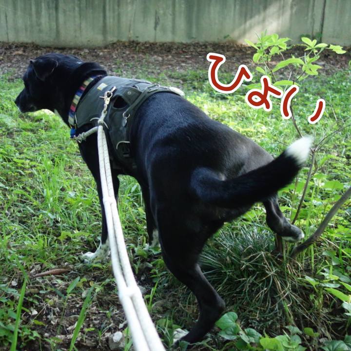 7b909887 c6b8 4c8c b790 d75c7fd7cb4f 1654129115176