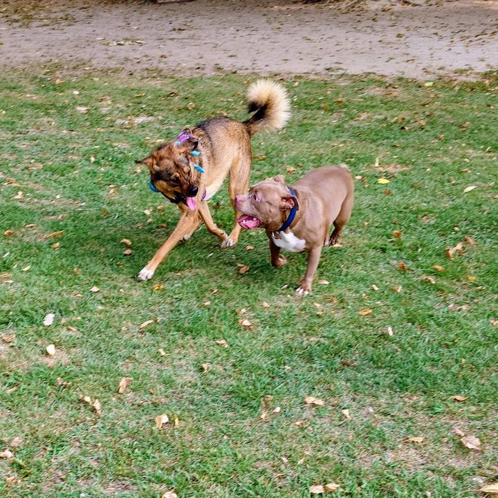 7b90a89e dd3e 4a43 bc84 4964dbcab71f 1755996422388