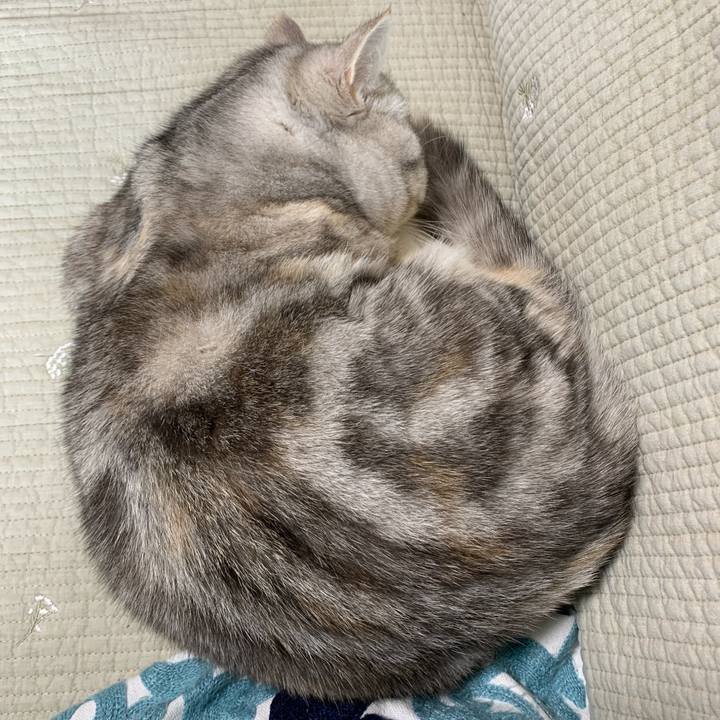 7b90b4ff 376c 4436 ab69 de91ad2a0135 1707015983092